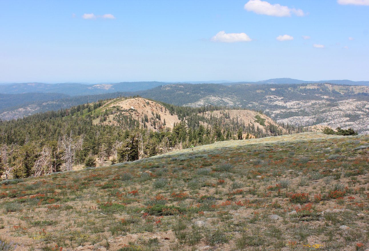 Mokelumne Peak Hike